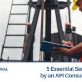 Top API Consultancy, AVN Professional Quality.
