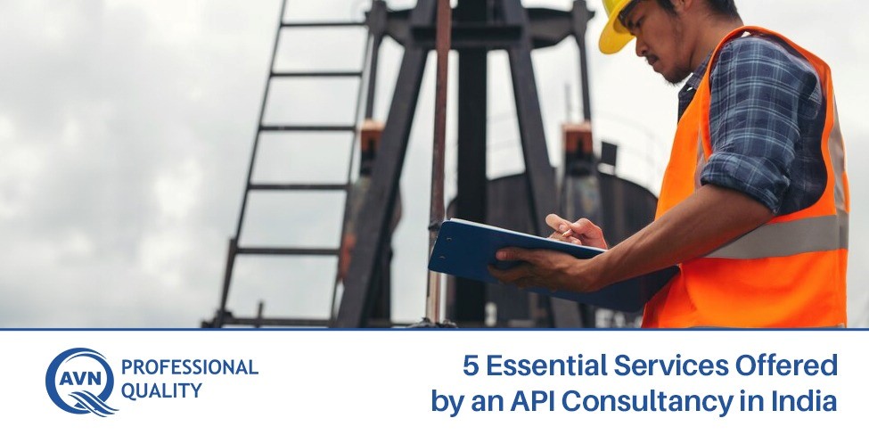 5 Essential Services Offered by an API Consultancy in India